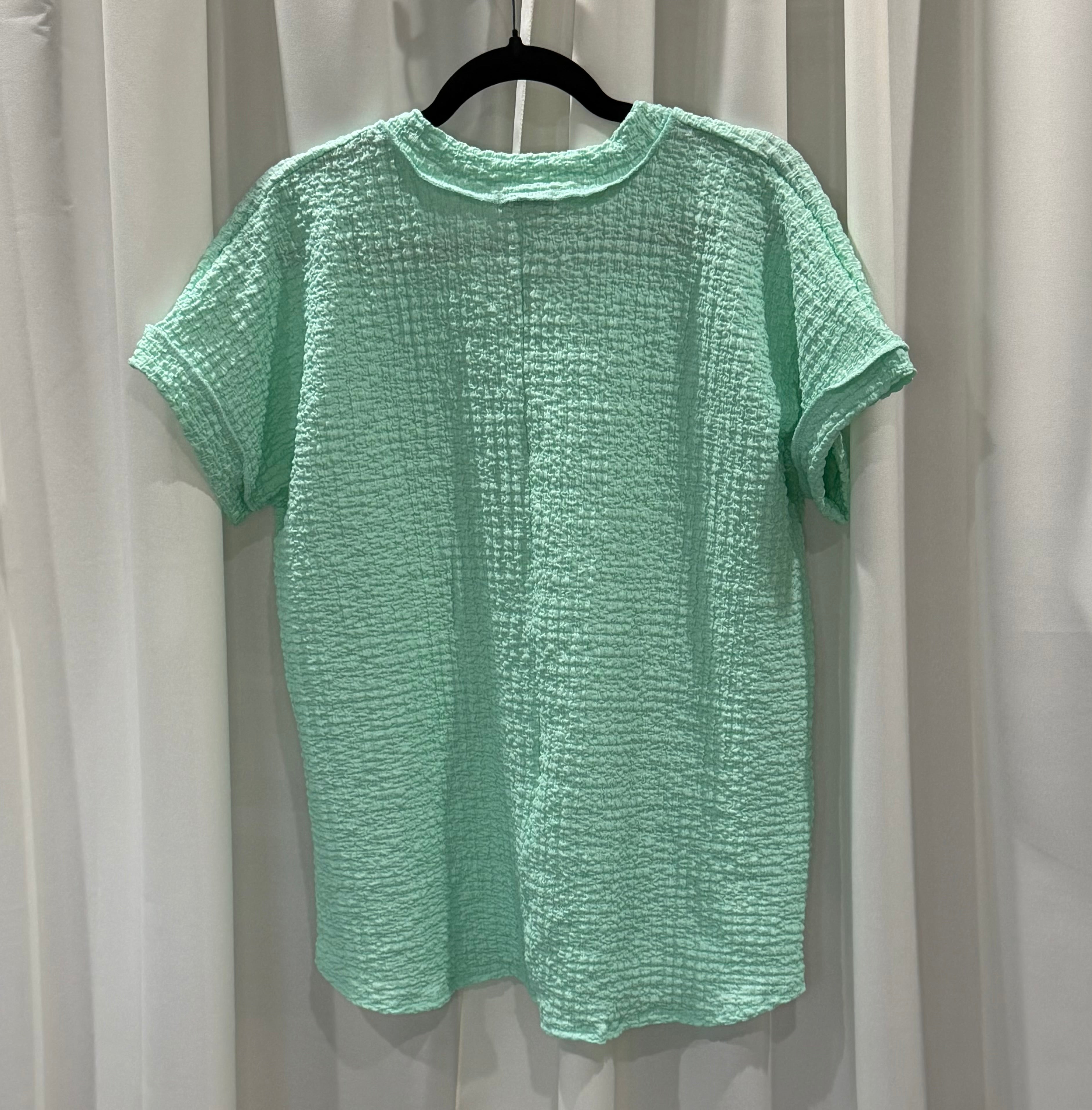 Mint V-Neck Short Sleeve Top (Plus Size Available)